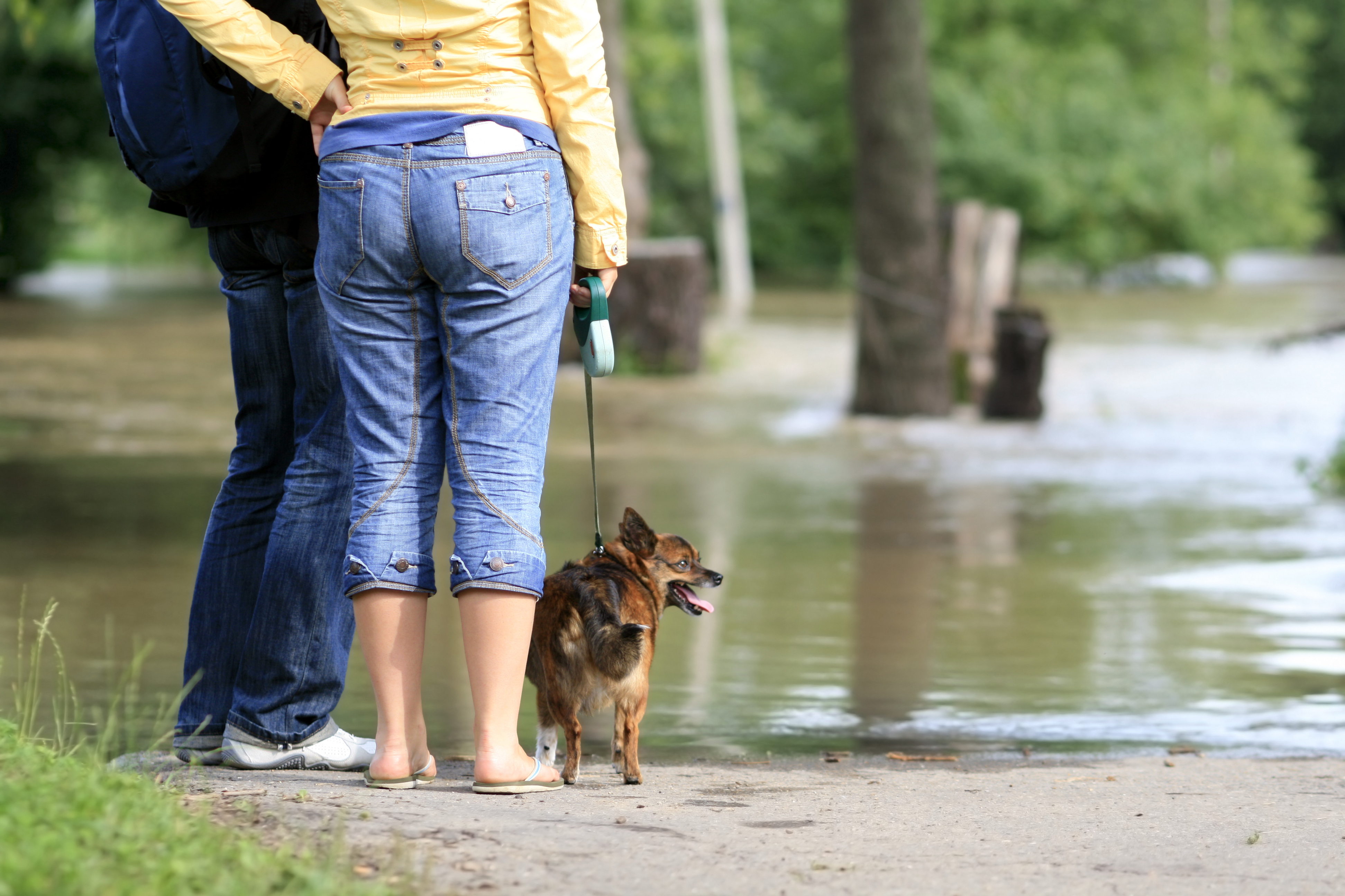 Purina aids people, pets impacted by flooding