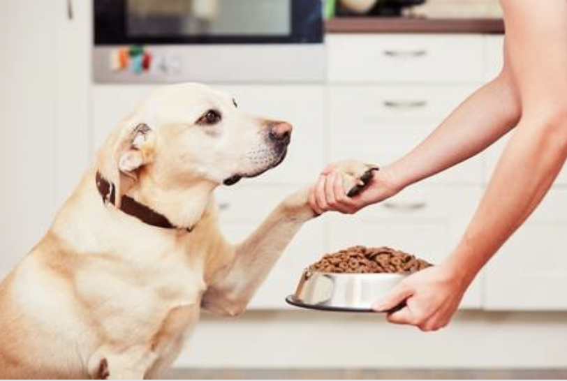Industry Insiders Report Animal Supply Co. and Phillips Pet Food & Supplies Are Merging