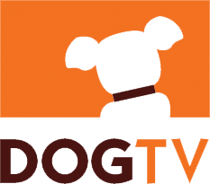 DOGTV Offers Free Services