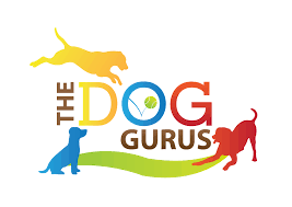 The Dog Gurus Virtually Host Pet Industry Conference