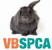 VBSPCA Organizational Updates