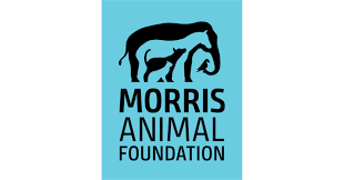Morris Animal Foundation Launches Stop Cancer Furever Campaign