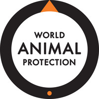 World Animal Protection Asks G20 Leaders to End Wildlife Trade