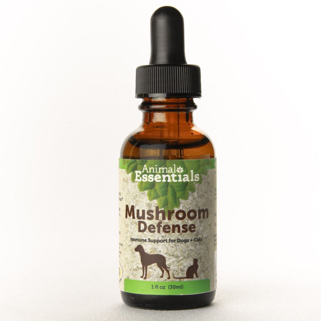 An image of Animal Essentials Inc – Mushroom Defense 1oz