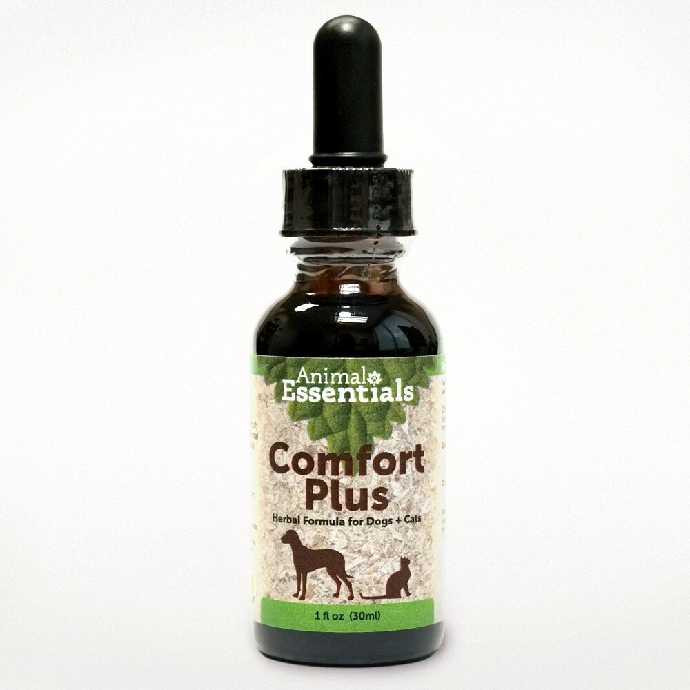 Animal Essentials Inc - Comfort Plus 1oz - Pet Insight