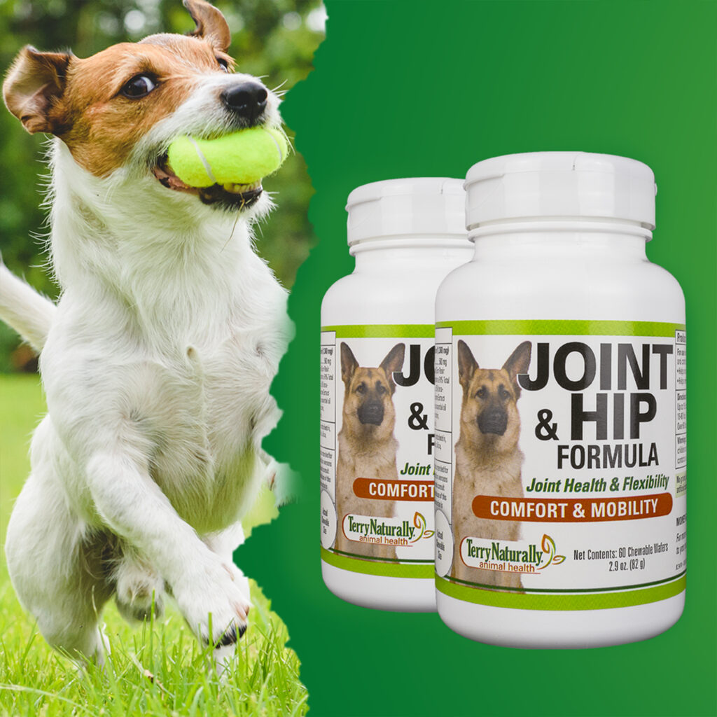 An image of Terry Naturally Animal Health, a EuroPharma brand – Joint & Hip Formula