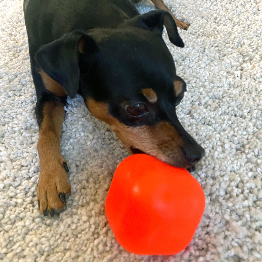An image of RUFF DAWG – Dawg-Cube