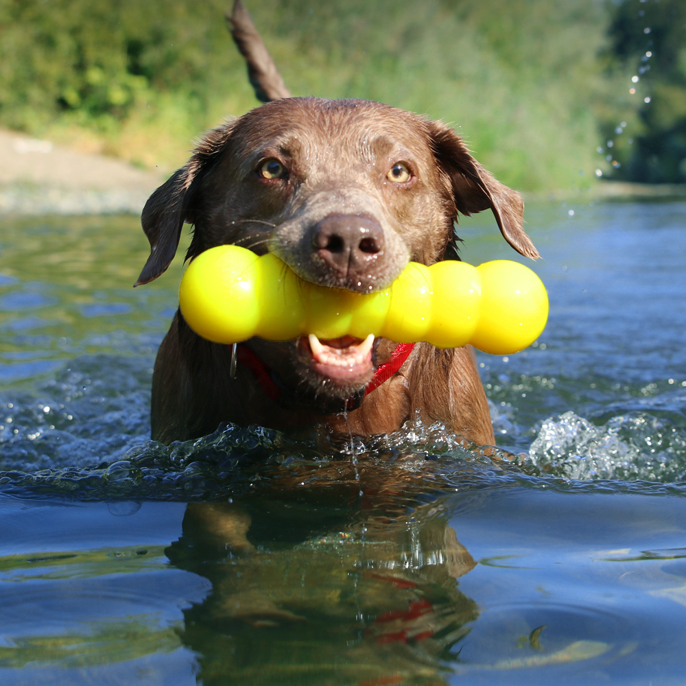An image of RUFF DAWG – Dawg-Buster