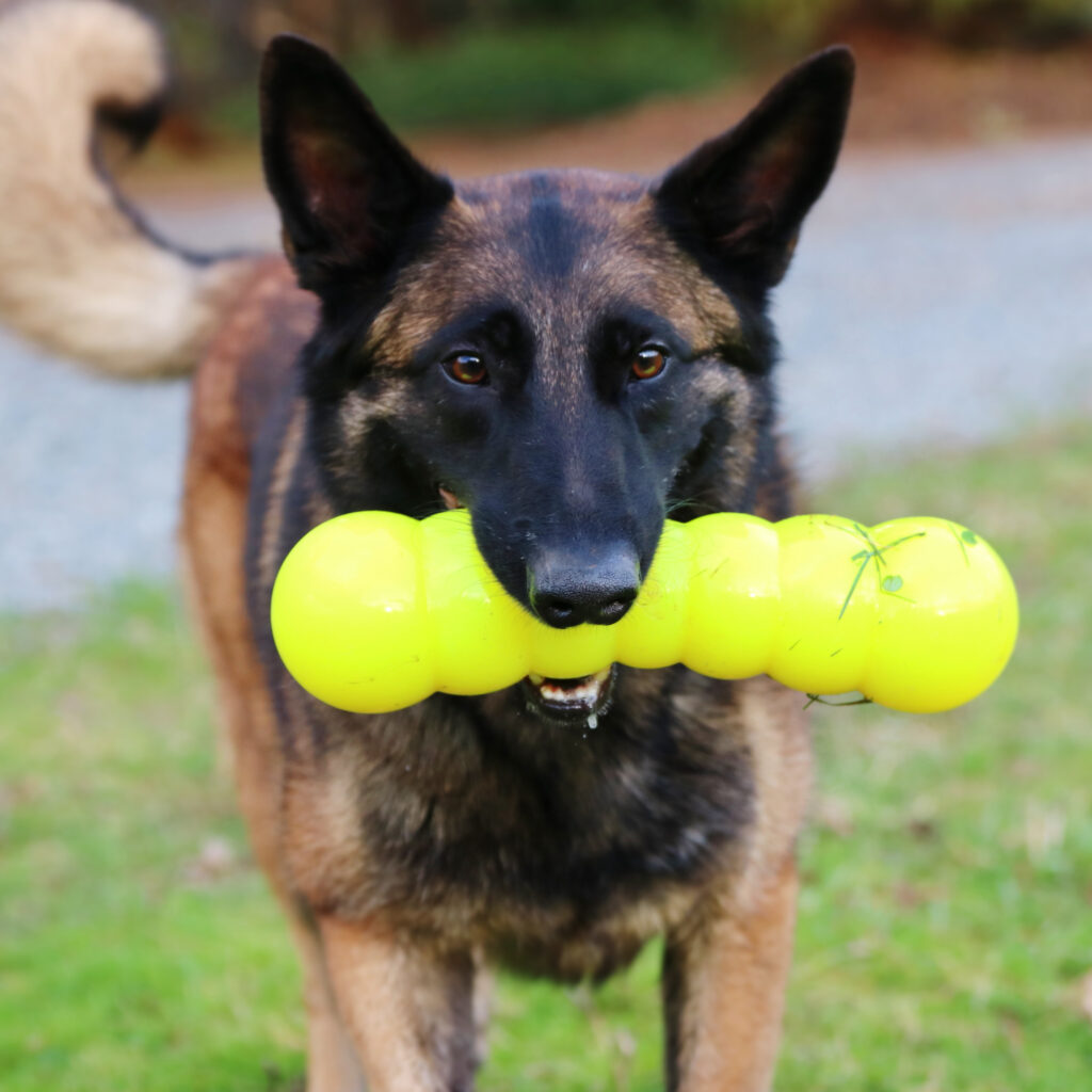 An image of RUFF DAWG – Dawg-Buster XL