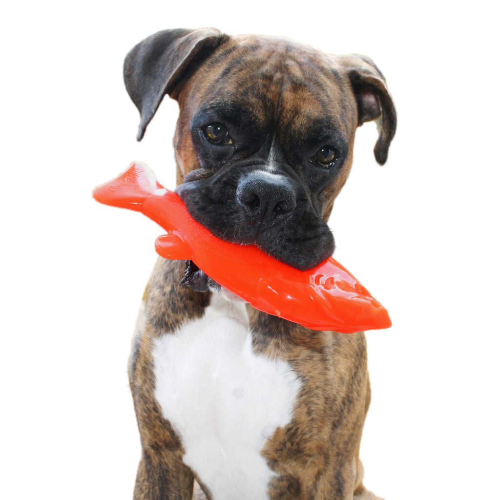 An image of RUFF DAWG – Flying Fish
