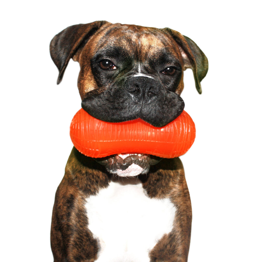 An image of RUFF DAWG – Peanut Crunch
