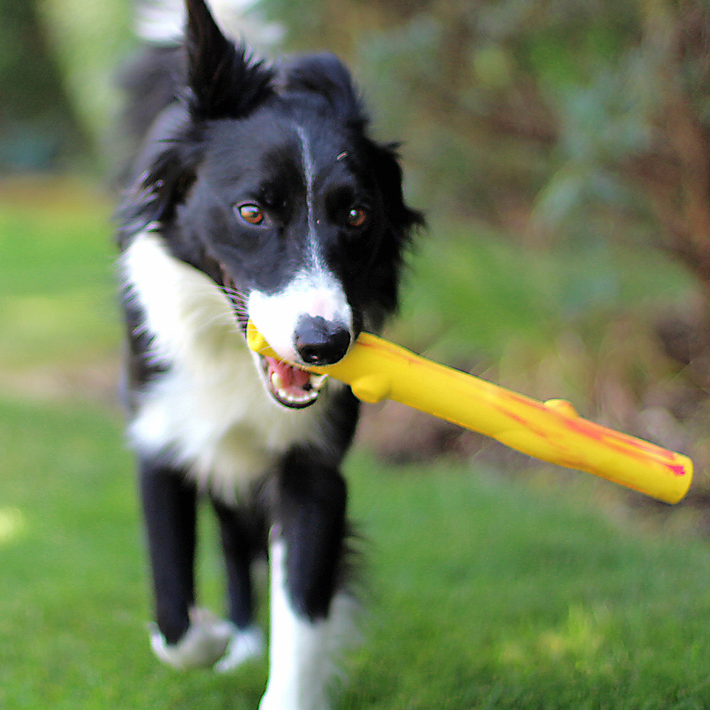 An image of RUFF DAWG – Stick
