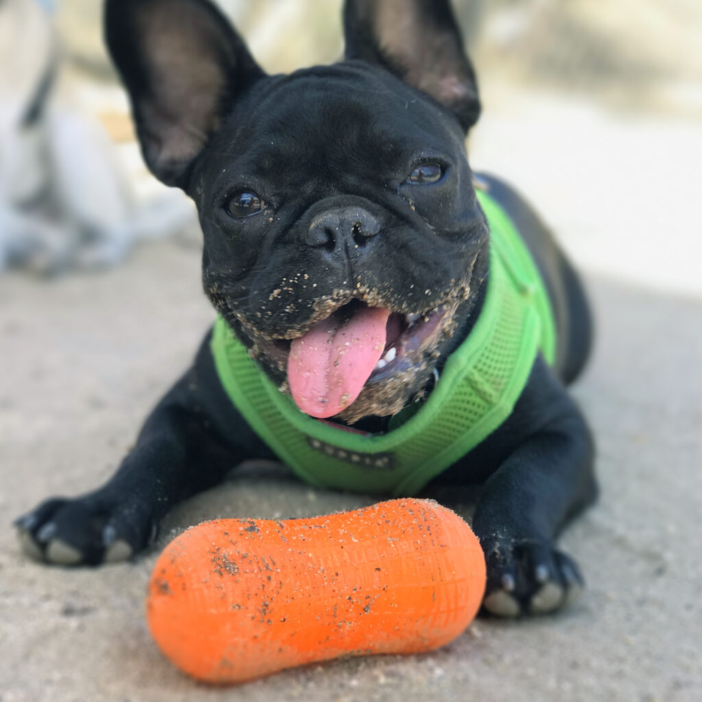 An image of RUFF DAWG – Weenut Crunch