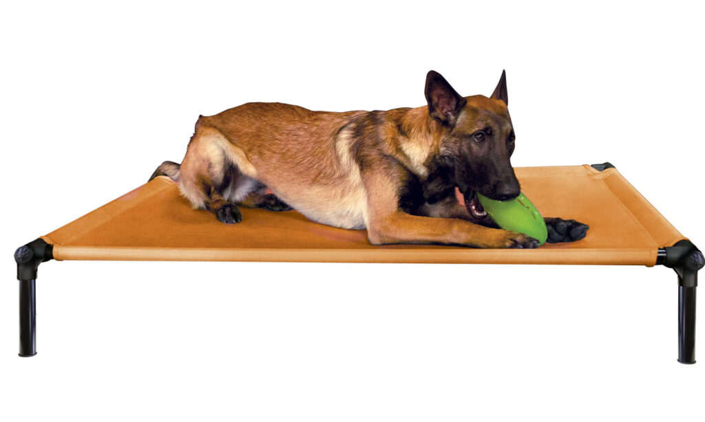 An image of Starmark Pet Products - DogZone Pro-Training Bed Large Sunset Gold