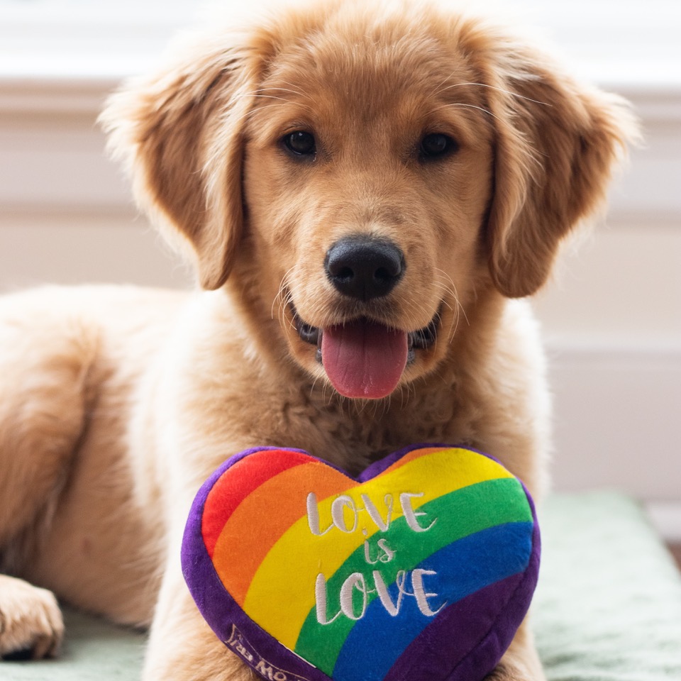 Huxley & Kent Pet Products to Celebrate the Summer of Love with New Toys