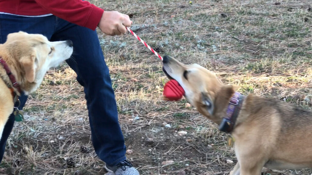 An image of SodaPup – True Dogs, LLC – MKB Heart on a String Ultra-Durable Reward Ball