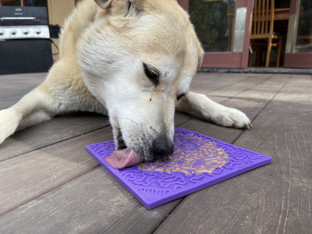 An image of SodaPup – True Dogs, LLC – SP Emat Bones – Large – Purple