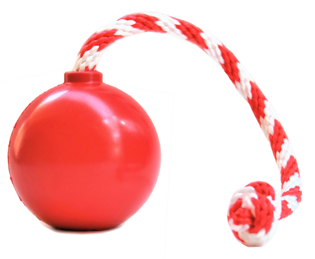 An image of SodaPup – True Dogs, LLC – USA-K9 Cherry Bomb – Large – Red