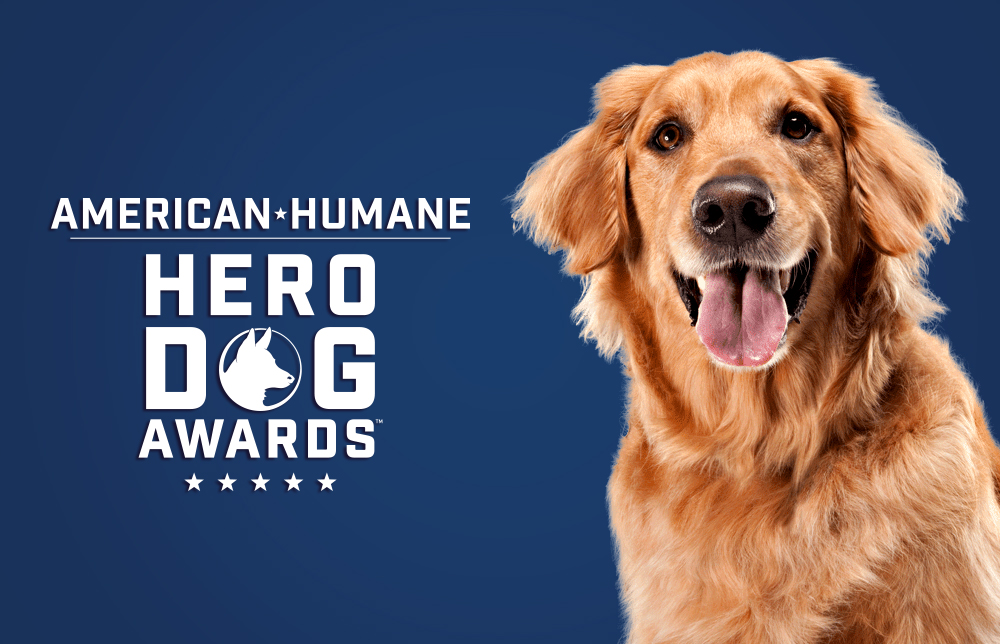 American Humane Hero Dog Awards to Air Oct. 20 on Hallmark Drama