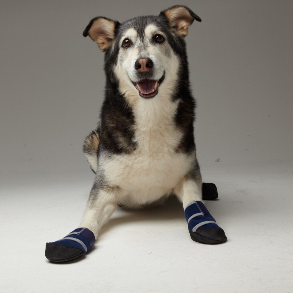 An image of Healers Petcare, Inc – HEALERS Medical Dog Boots and Bandages – Large