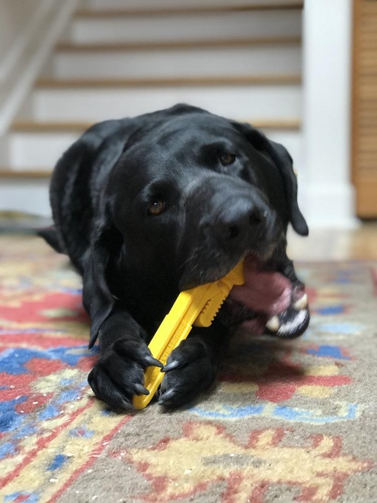 An image of SodaPup – True Dogs, LLC – ID Nylon Pipe Wrench – Yellow