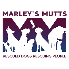    Marley’s Mutts Dog Rescue Partners with Hounds and Heroes and Pawsitive Change Program