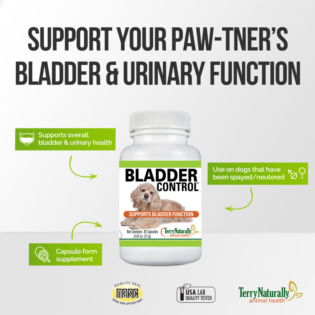 An image of Terry Naturally Animal Health, a EuroPharma brand – Bladder Control