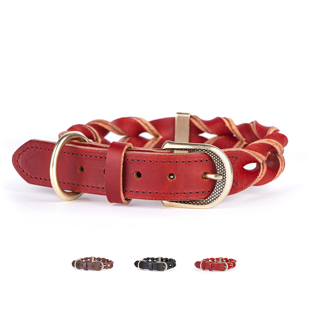 An image of MyFamily USA, Inc. - "Ascot" Collection - Premium quality woven leather collars & leashes