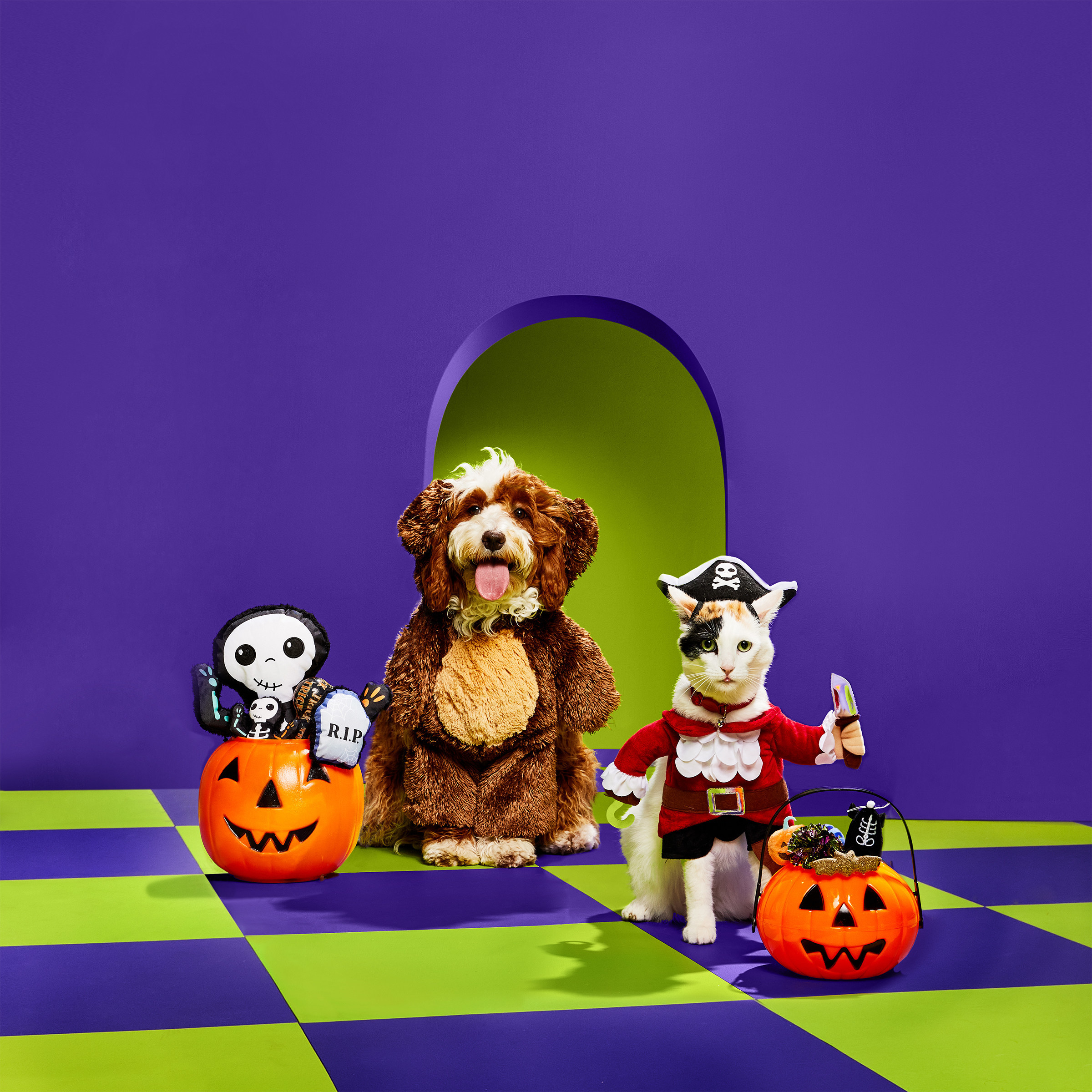 Petco Unveils Annual “Bootqiue” Collection with Expanded Halloween