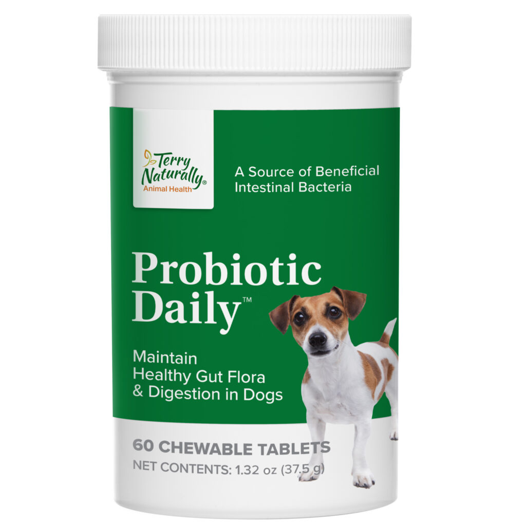 An image of Terry Naturally Animal Health, a EuroPharma brand - Probiotic Daily Dog Gut Supplement