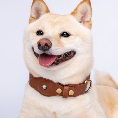 Dogily Tracking Collar Stays on Top of Trends and Your Dog