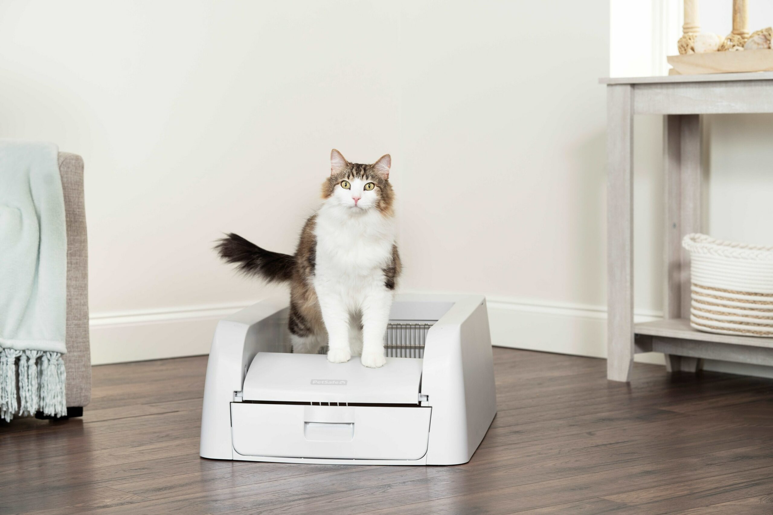 PetSafe Introduces ScoopFree Clumping Self-Cleaning Litter Box