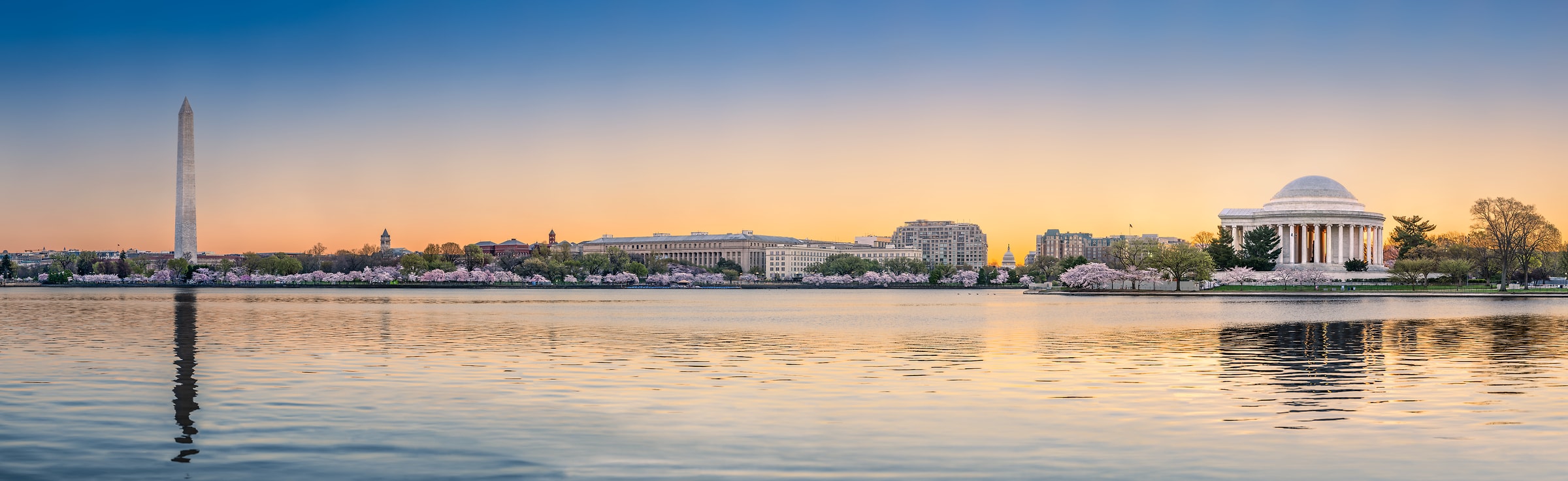 Market Spotlight: Washington D.C.