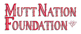 Miranda Lambert’s MuttNation-Tractor Supply Relief for Rescues Fund Donates $250,000 to Support Hurricane Recovery