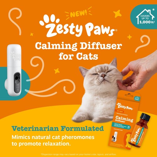 Zesty Paws expands into feline wellbeing with launch of its first-ever calming cat diffuser