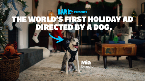 BARK Shifts Creative Control to the Real Holiday Experts: Dogs