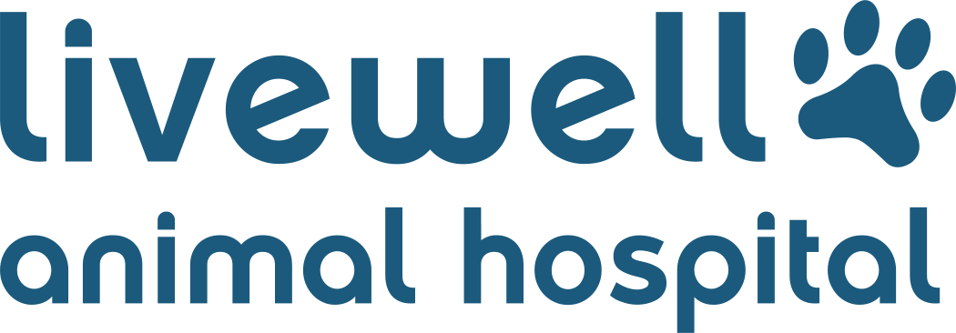 Dr. Davis Opens Animal Hospital Focused on Personalized, Compassionate Veterinary Care