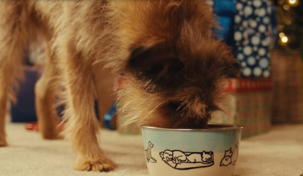Pet Valu Encourages Devoted Pet Lovers to Feast on Love Over Holidays