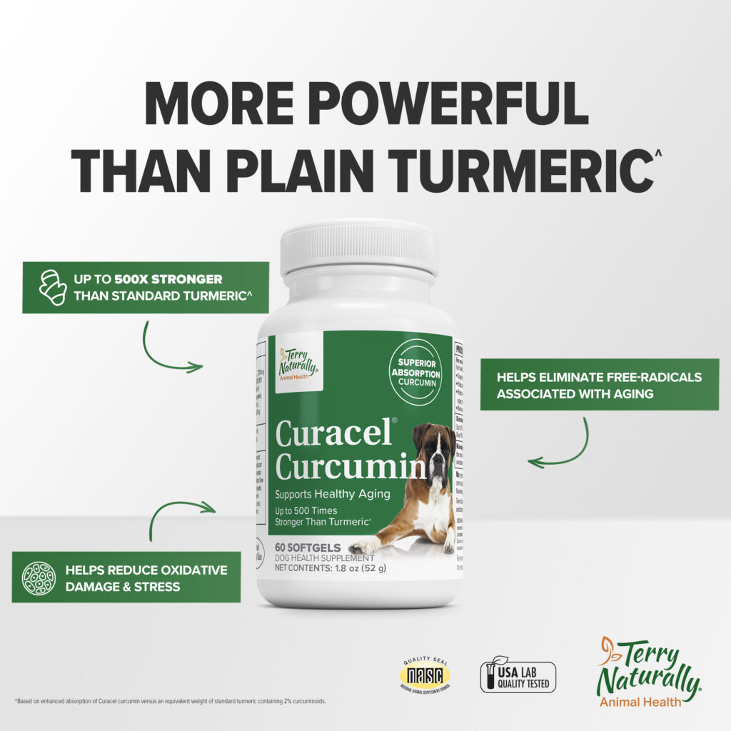 An image of Terry Naturally Animal Health, a EuroPharma brand – Curacel Curcumin