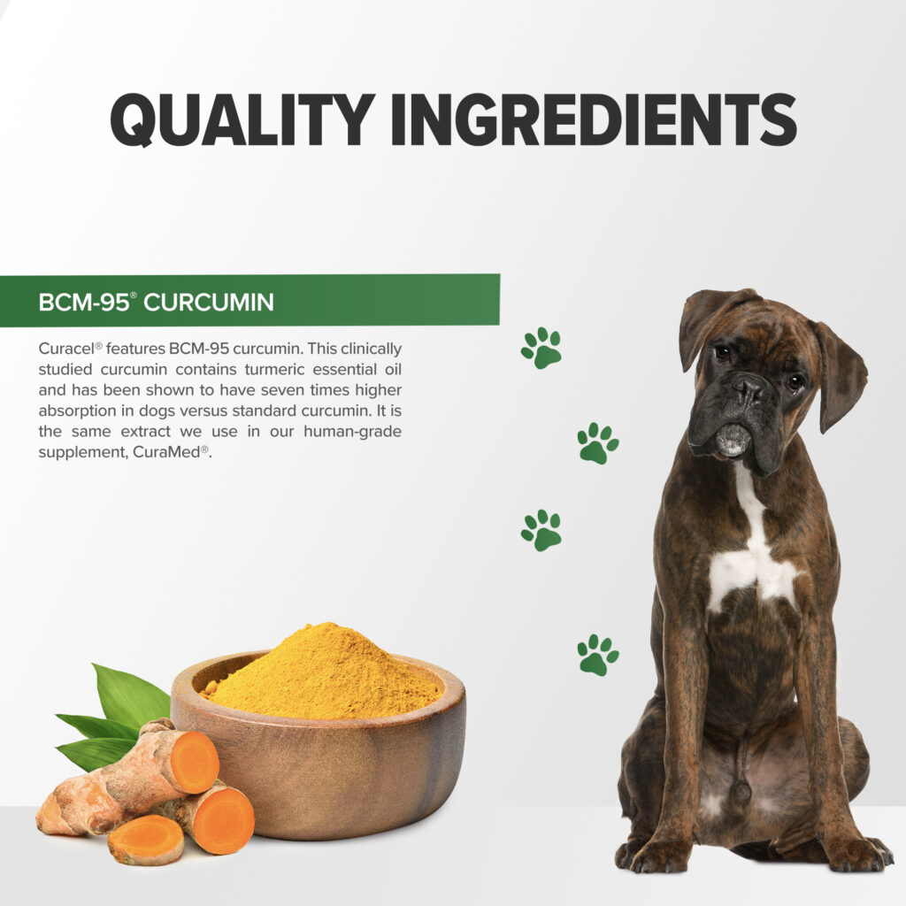 An image of Terry Naturally Animal Health, a EuroPharma brand – Curacel Curcumin