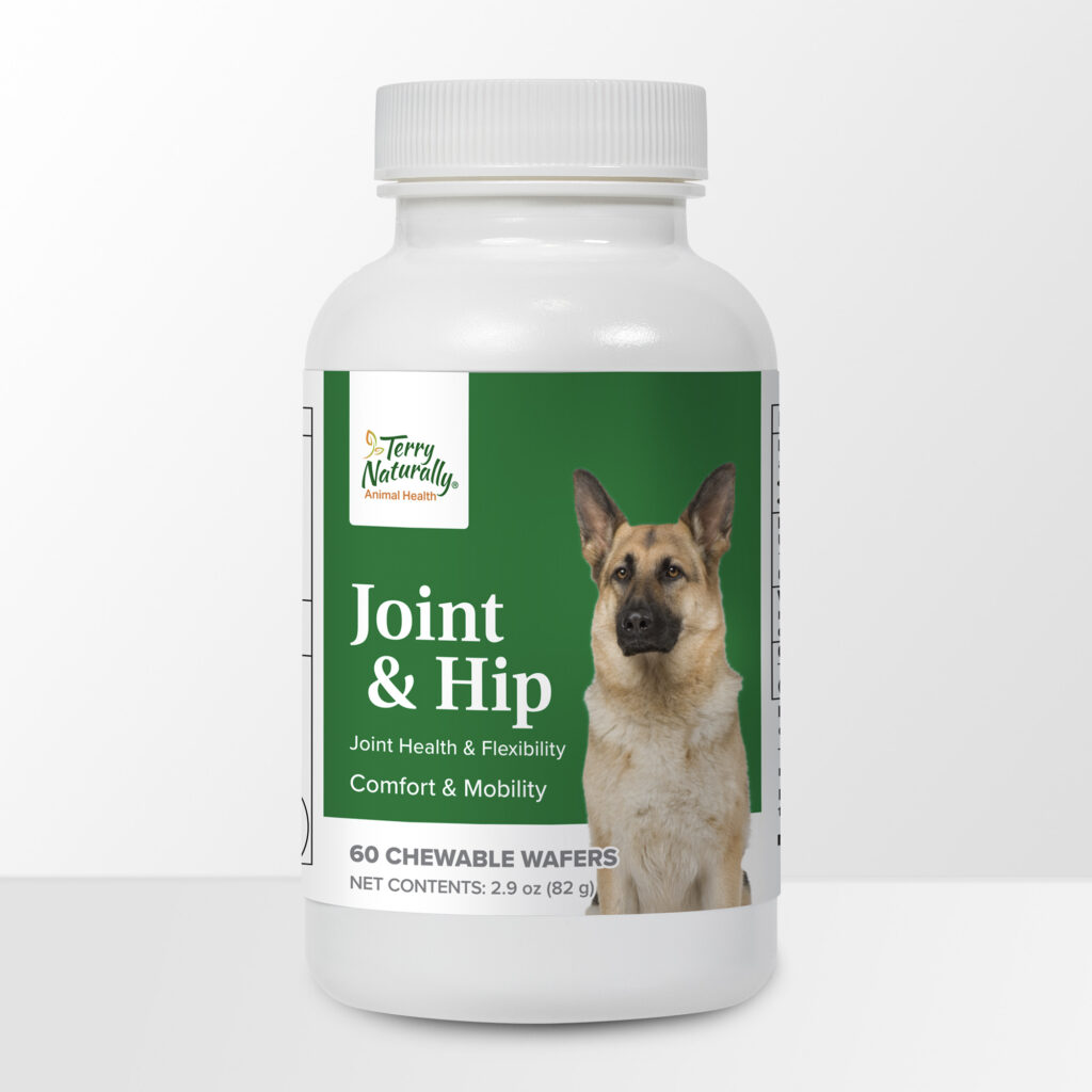 An image of Terry Naturally Animal Health, a EuroPharma brand - Joint & Hip Formula