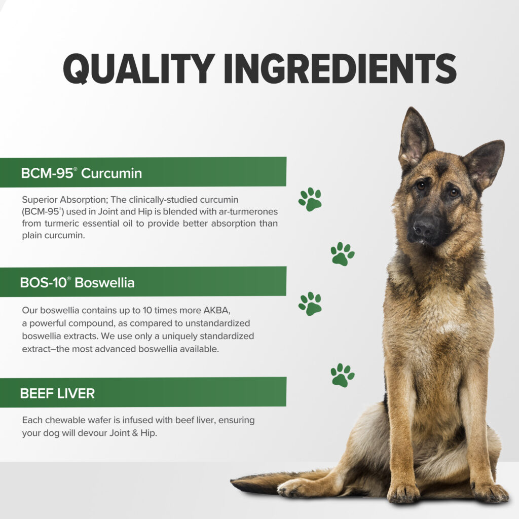 An image of Terry Naturally Animal Health, a EuroPharma brand – Joint & Hip Formula