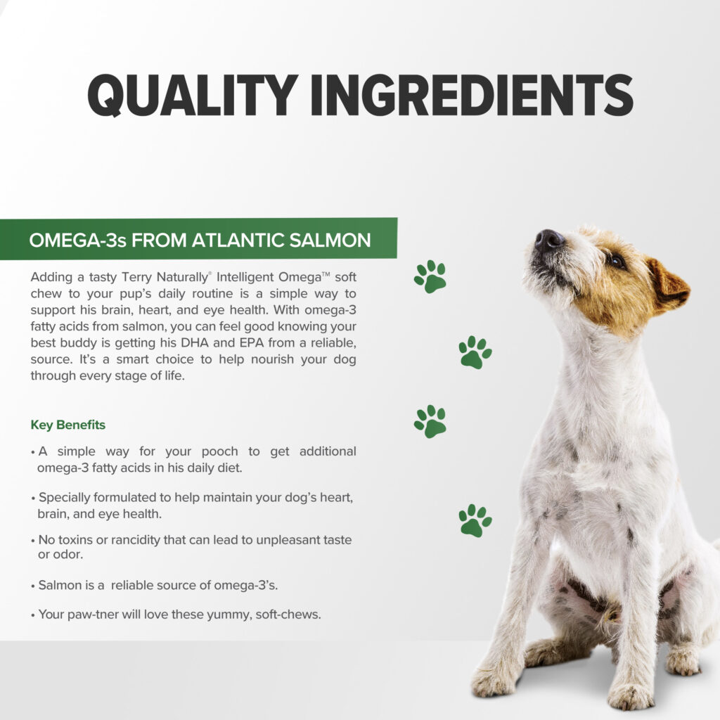 An image of Terry Naturally Animal Health, a EuroPharma brand – Intelligent Omega