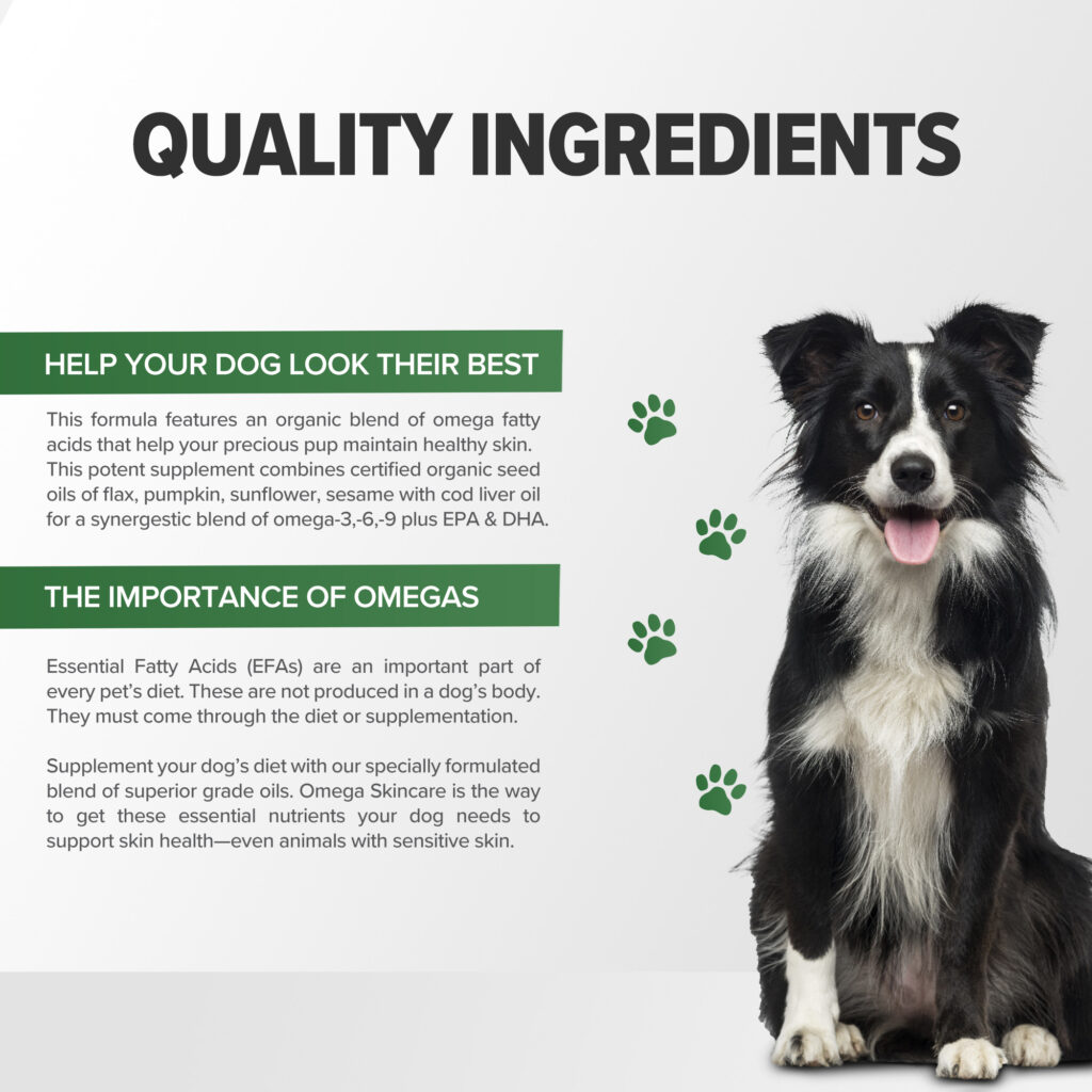 An image of Terry Naturally Animal Health, a EuroPharma brand – Omega Skincare