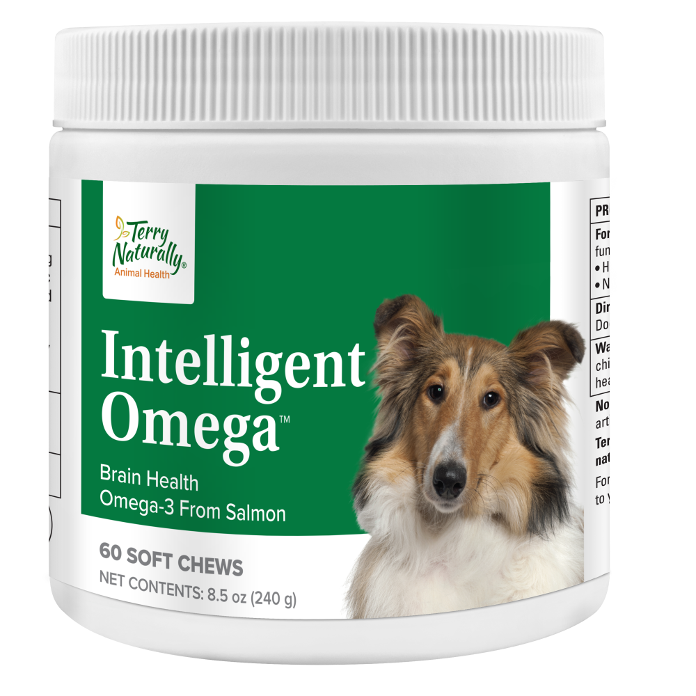 An image of Terry Naturally Animal Health, a EuroPharma brand – Intelligent Omega