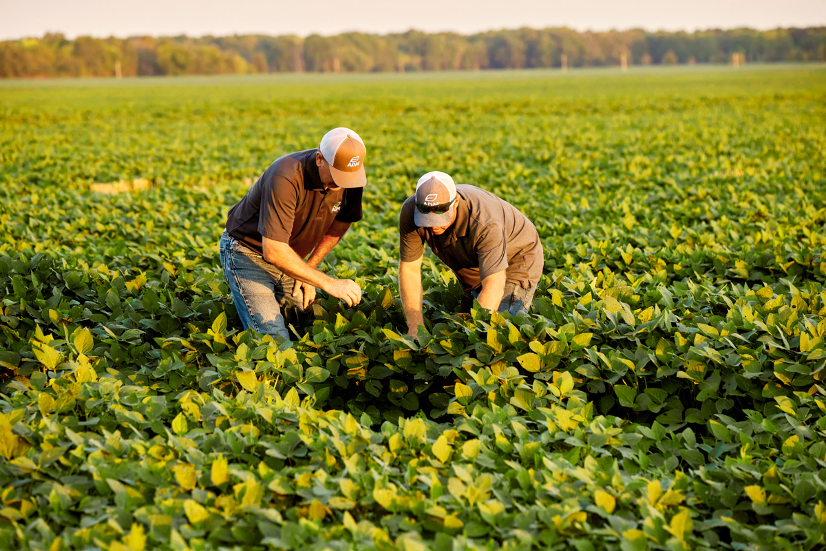 ADM Partners with Hill’s Pet Nutrition in North America and EMEA to Support Farm Resilience through Regenerative Agriculture
