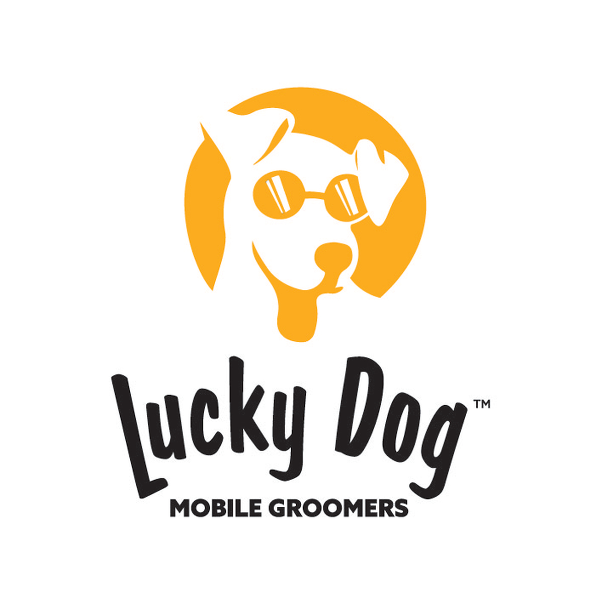 Lucky Dog Mobile Groomers Shares Summer Grooming Tips to Help Dogs Beat the Heat