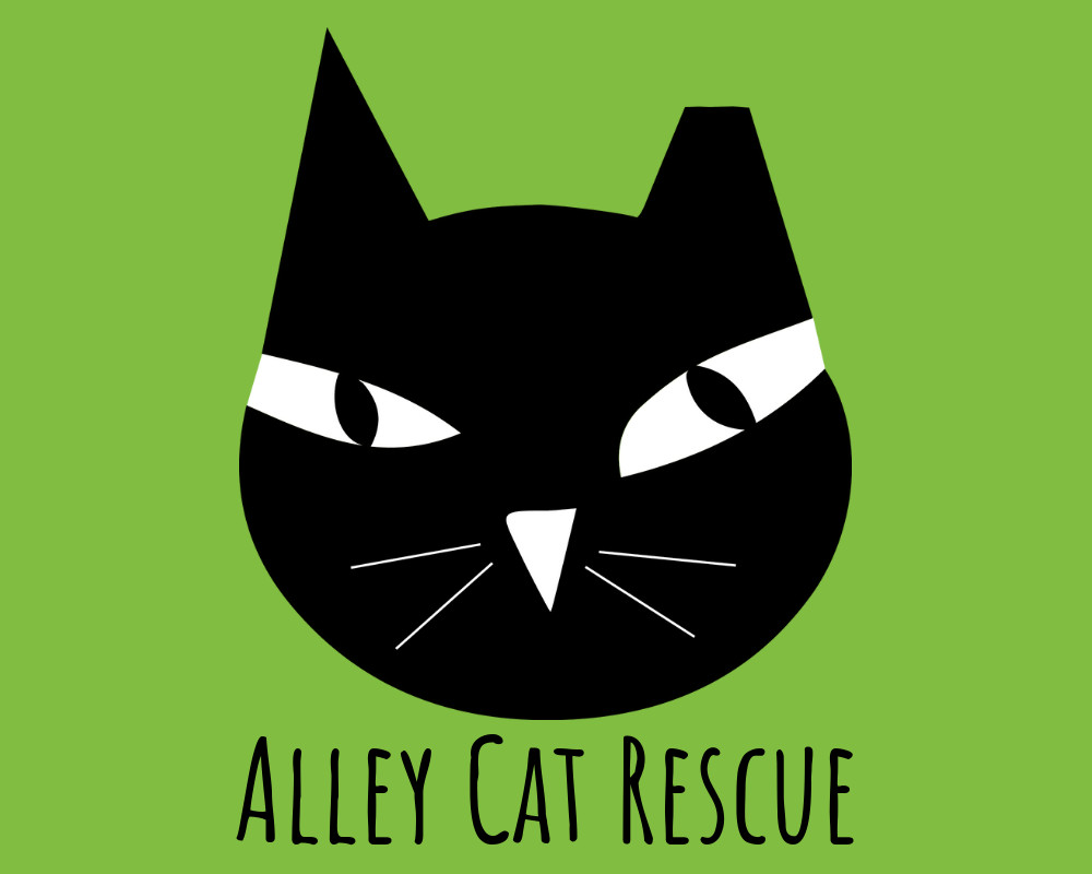 Alley Cat Rescue Urges US Senate to Help Rescues and Save Lives by Passing the BARK Act
