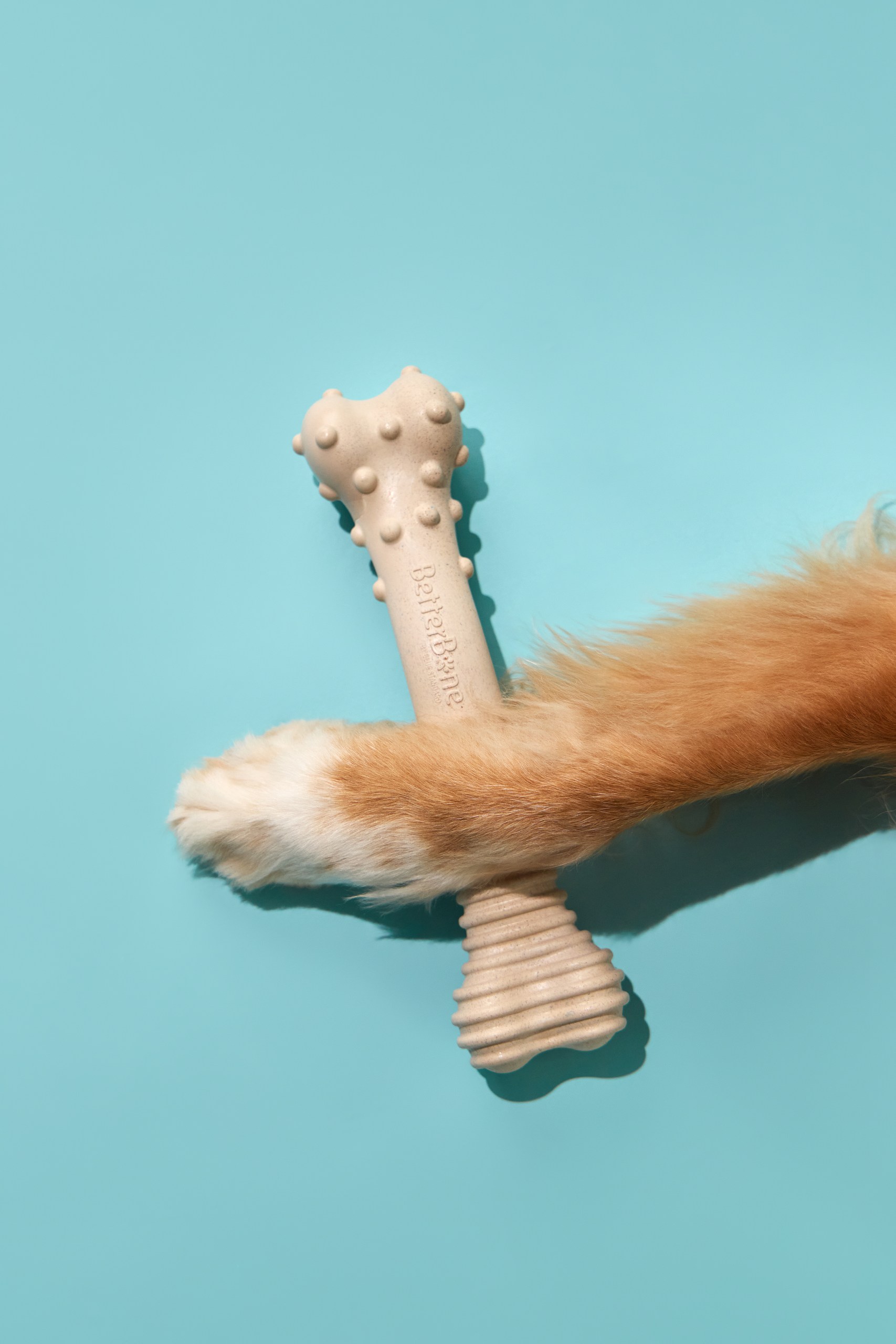 BetterBone Rolls Out New Look Following SuperZoo Feedback, Supporting Next Stage of Company Growth