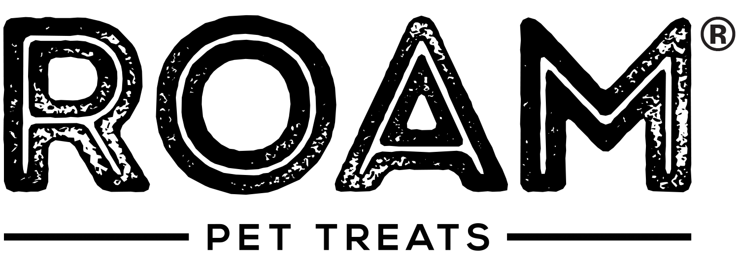 In Conversation with ROAM Pets